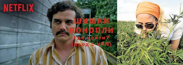 ГАЛЛЮЦИНОГЕННЫЕ ГРИБЫ Алексеевка