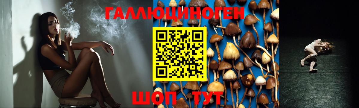 Галлюциногенные грибы Psilocybine cubensis Туймазы